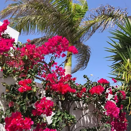 Vistas Del Mar * פלאיה בלנקה