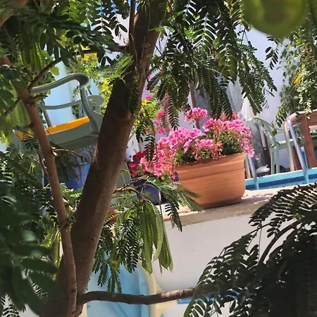 Vistas Del Mar 别墅 *